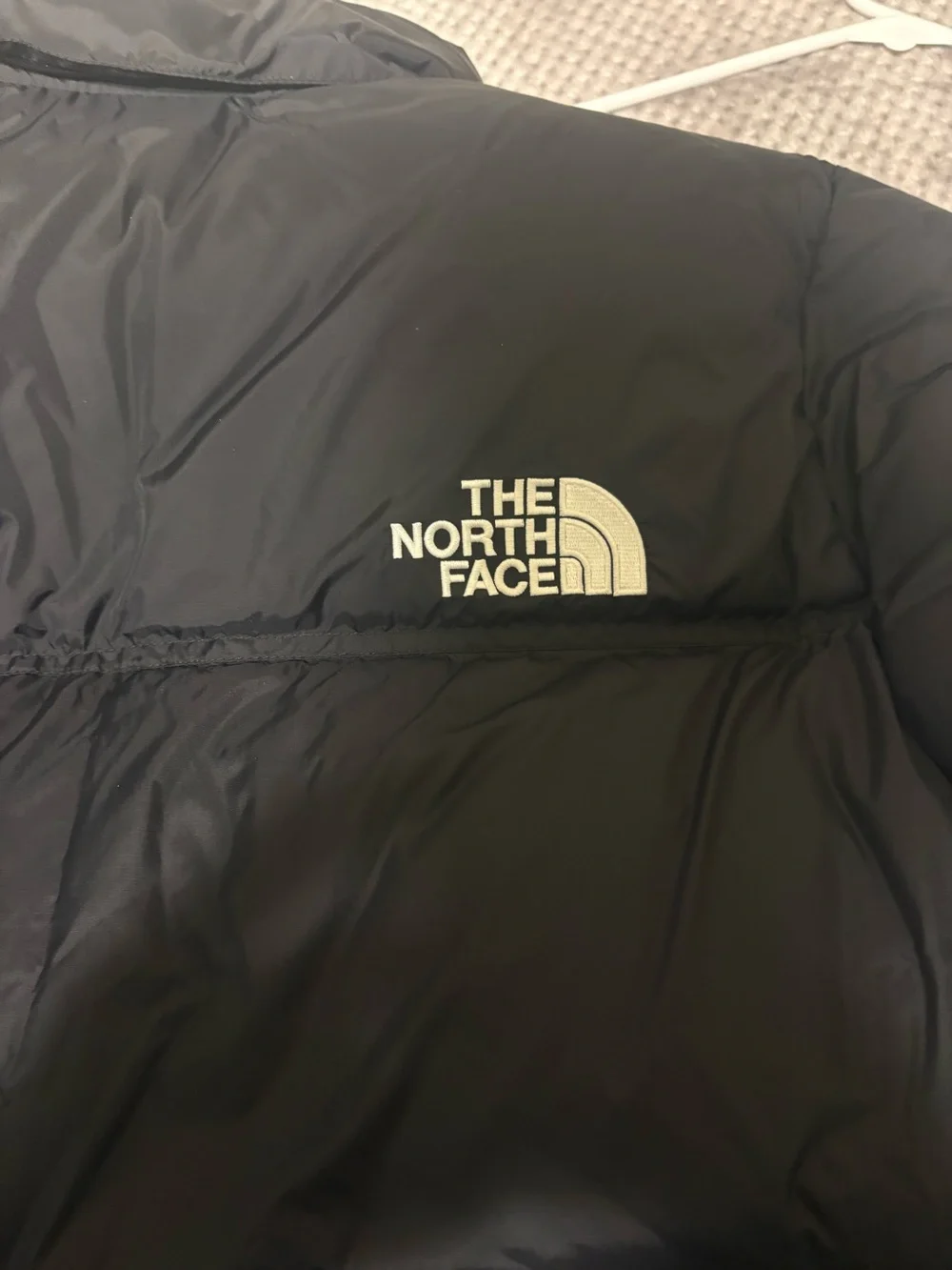 NWT The North Face 1996 Retro Nuptse 700 Down Jacket Black Men's Hoodie